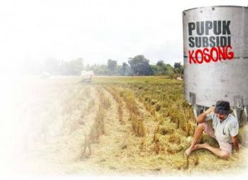 Tanggapi Isu Kelangkaan Pupuk Bersubsidi di Lampung, Ini yang Dilakukan KPPU Wilayah II